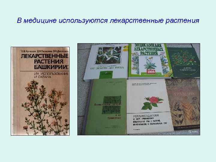 В медицине используются лекарственные растения 