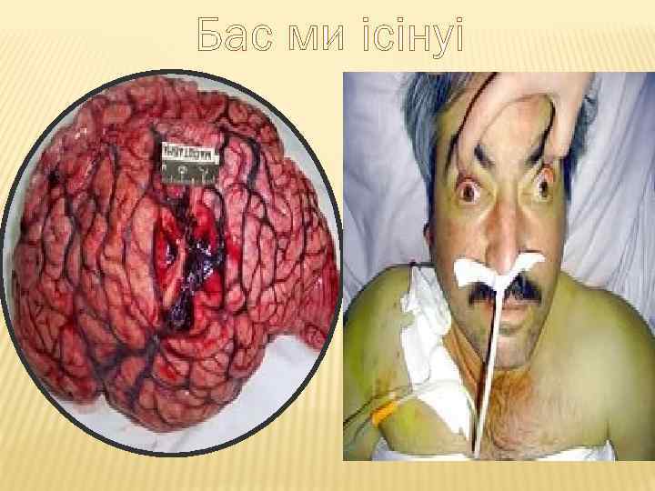 Бас ми ісінуі 