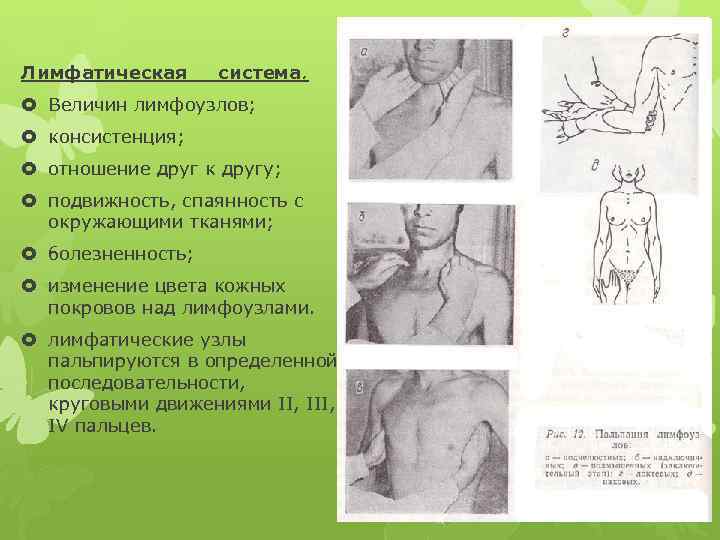 Лимфатическая система. Величин лимфоузлов; консистенция; отношение друг к другу; подвижность, спаянность с окружающими тканями;