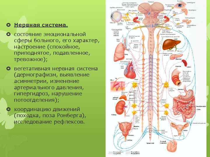  Нервная система. состояние эмоциональной сферы больного, его характер, настроение (спокойное, приподнятое, подавленное, тревожное);