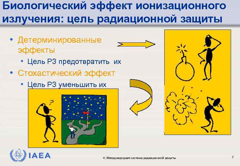 Биологический эффект ионизационного излучения: цель радиационной защиты • Детерминированные эффекты • Цель РЗ предотвратить