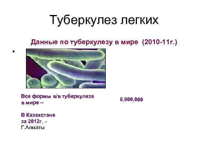 Туберкулез легких Данные по туберкулезу в мире (2010 -11 г. ) • Все формы