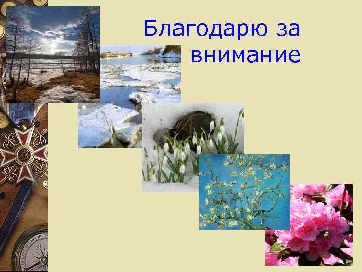 Благодарю за внимание 