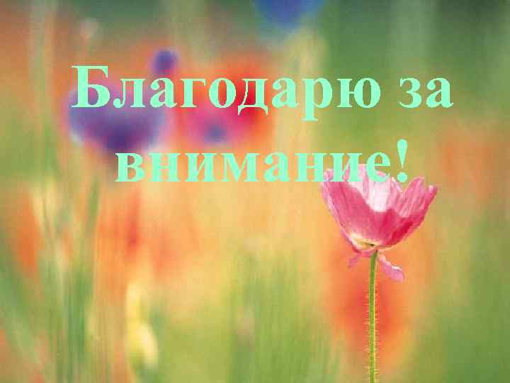 Благодарю за внимание! 