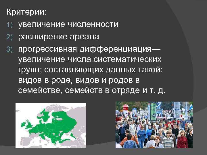 Критерии: 1) увеличение численности 2) расширение ареала 3) прогрессивная дифференциация— увеличение числа систематических групп;