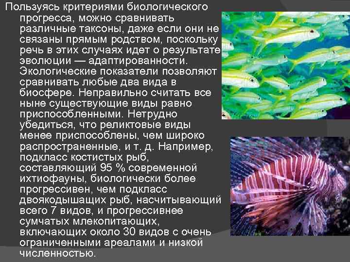 Пользуясь критериями биологического прогресса, можно сравнивать различные таксоны, даже если они не связаны прямым