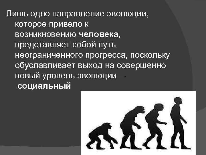 Лишь одно направление эволюции, которое привело к возникновению человека, представляет собой путь неограниченного прогресса,