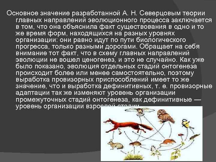 Основное значение разработанной А. Н. Северцовым теории главных направлений эволюционного процесса заключается в том,