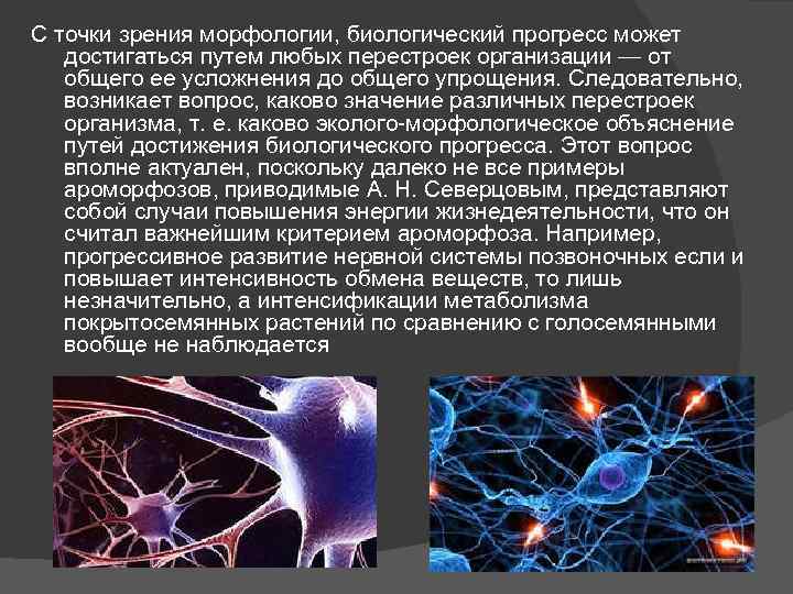 С точки зрения морфологии, биологический прогресс может достигаться путем любых перестроек организации — от