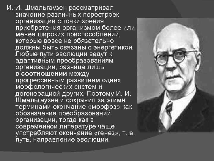 Рассматривать значение. Шмальгаузен вклад в биологию. Шмальгаузен теория эволюции. Иван Иванович Шмальгаузен Советский биолог. Эмбриология Шмальгаузен.