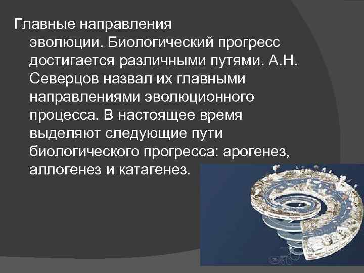 Главные направления эволюции. Биологический прогресс достигается различными путями. А. Н. Северцов назвал их главными