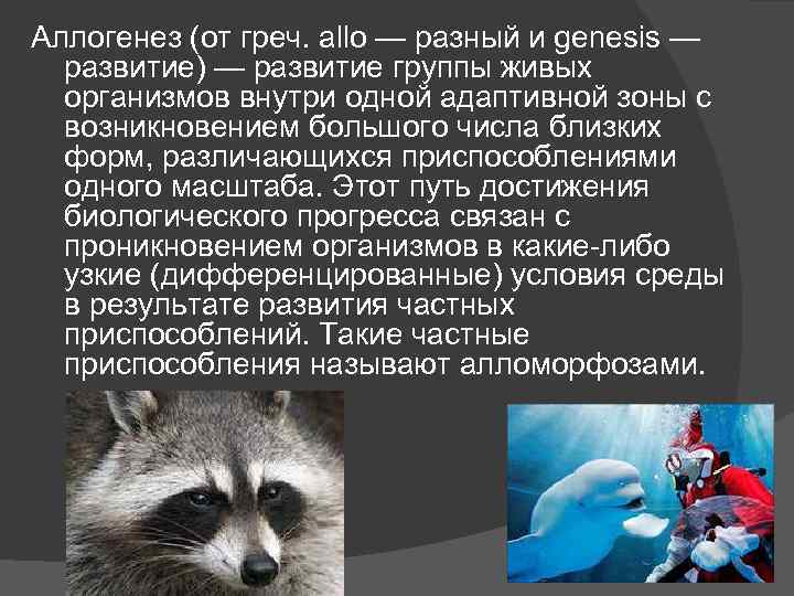 Аллогенез (от греч. allo — разный и genesis — развитие) — развитие группы живых