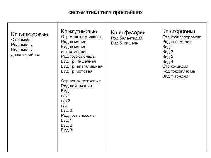 систематика типа простейших Кл саркодовые Отр амебы Род амебы Вид амебы дизентирийная Кл жгутиковые