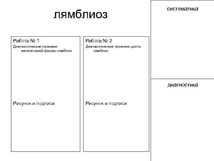 лямблиоз Работа № 1 Работа № 2 Диагностические признаки вегетативной формы лямблии систематика Диагностические