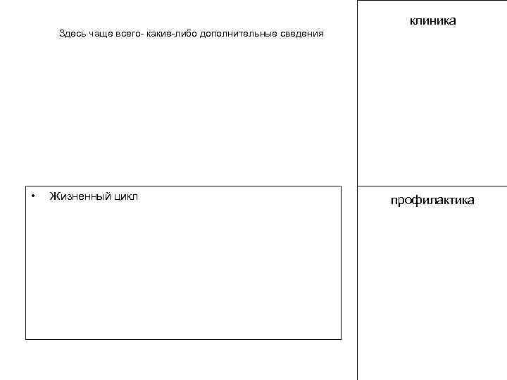 клиника Здесь чаще всего- какие-либо дополнительные сведения • Жизненный цикл профилактика 