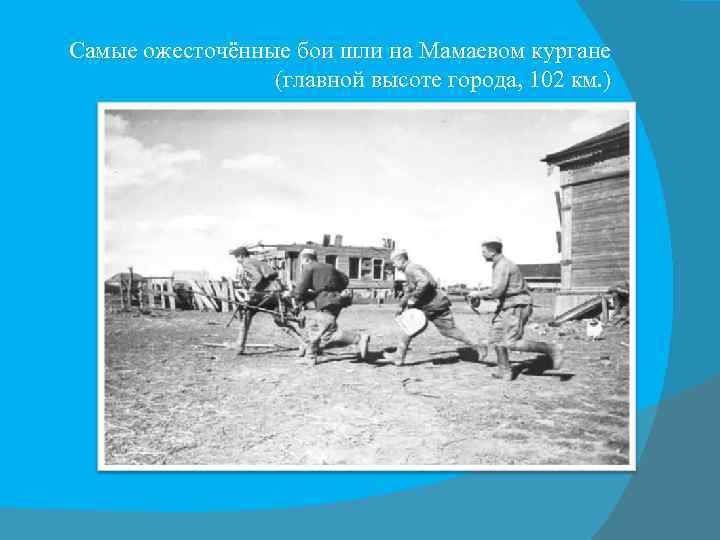  Самые ожесточённые бои шли на Мамаевом кургане (главной высоте города, 102 км. )