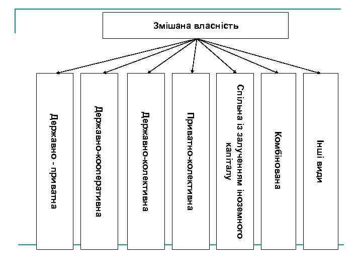 Змішана власність Інші види Комбінована Спільна із залученням іноземного капіталу Приватно-колективна Державно-кооперативна Державно -