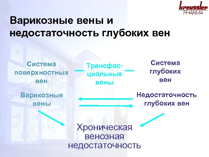 Варикозные вены и недостаточность глубоких вен Система поверхностных вен Варикозные вены Система глубоких вен