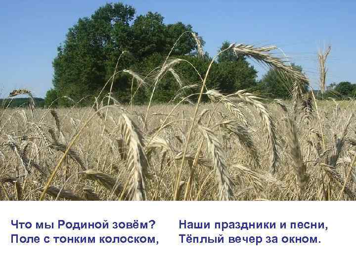 Что мы Родиной зовём? Поле с тонким колоском, Наши праздники и песни, Тёплый вечер