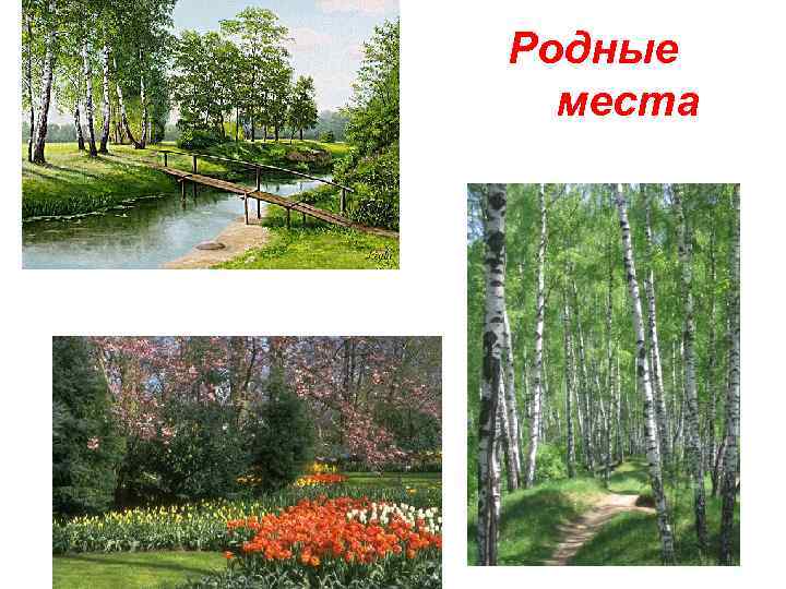 Родные места 