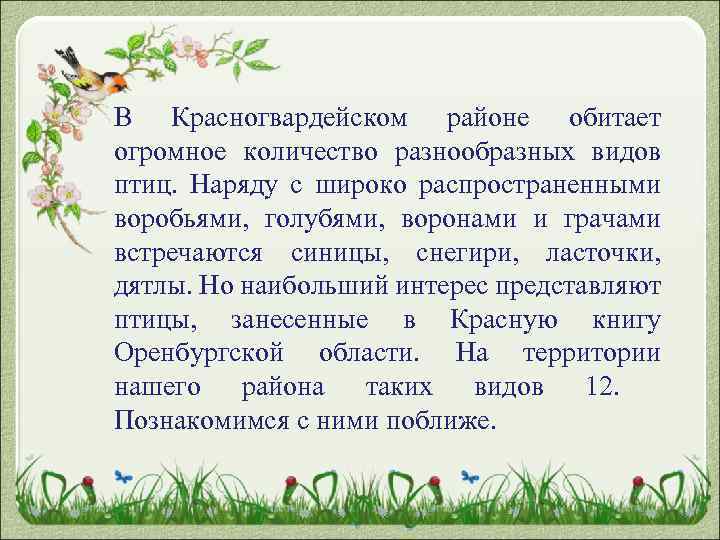 В Красногвардейском районе обитает огромное количество разнообразных видов птиц. Наряду с широко распространенными воробьями,