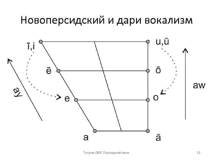Новоперсидский и дари вокализм Теория ОВЯ. Персидский язык 11 