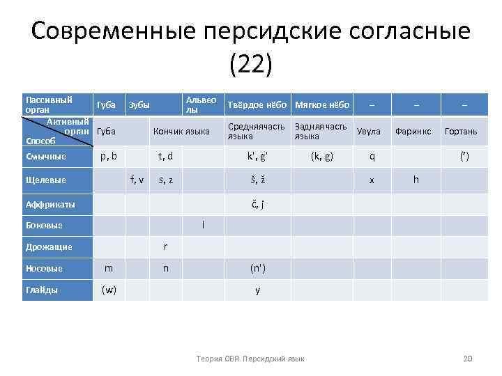 Современные персидские согласные (22) Пассивный Губа орган Активный орган Губа Способ Альвео лы Зубы