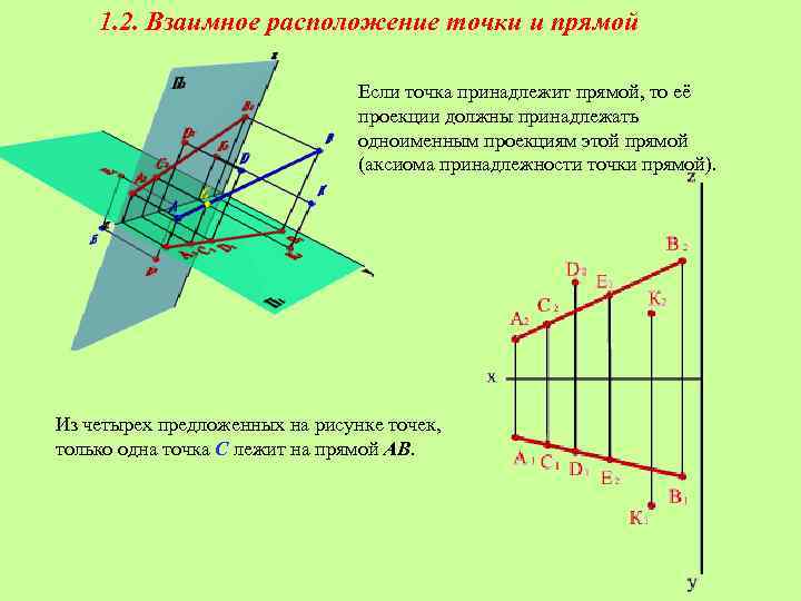 1. 2. Взаимное расположение точки и прямой Если точка принадлежит прямой, то её проекции