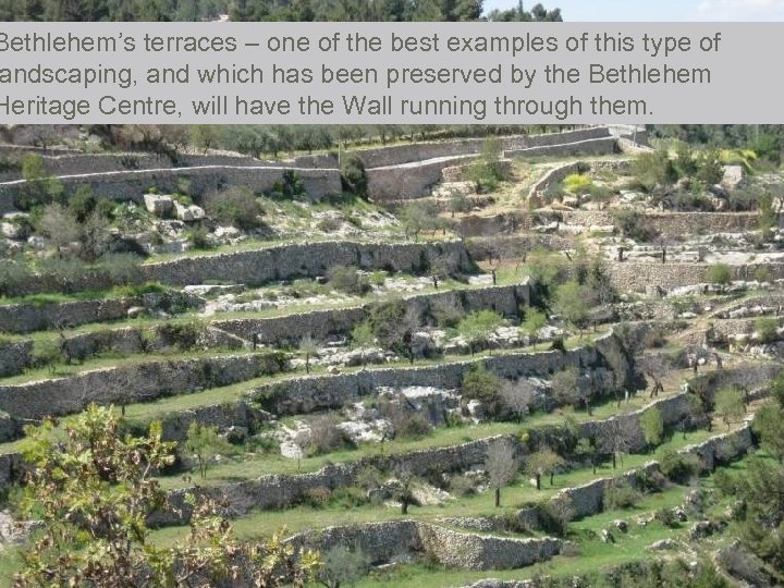 Bethlehem’s terraces – one of the best examples of this type of andscaping, and