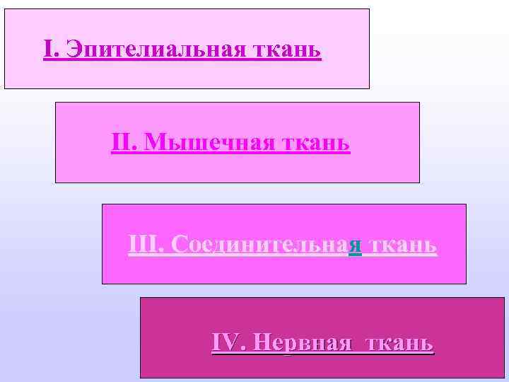 I. Эпителиальная ткань II. Мышечная ткань III. Соединительная ткань IV. Нервная ткань 