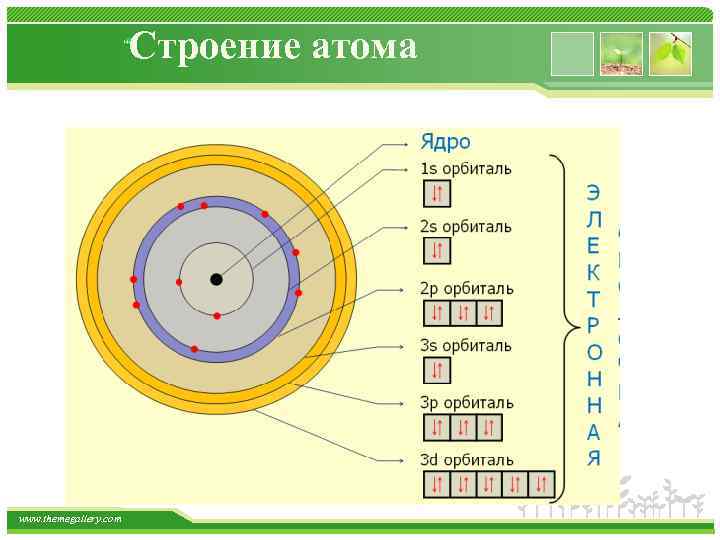 Строение атома www. themegallery. com 