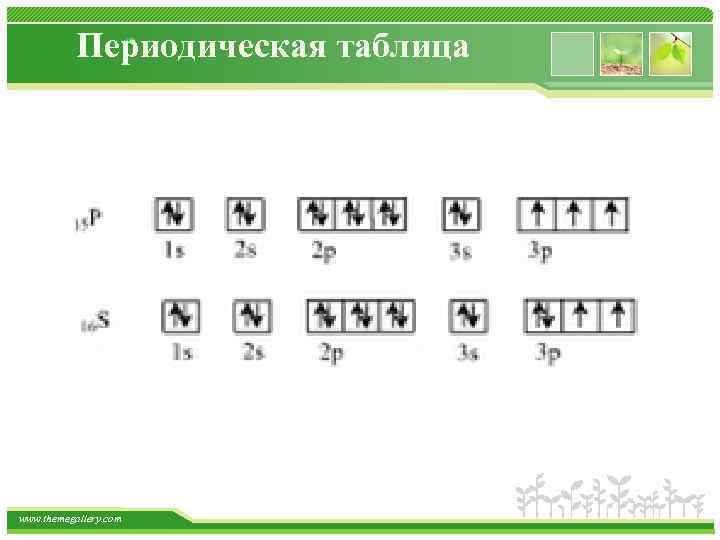 Периодическая таблица www. themegallery. com 