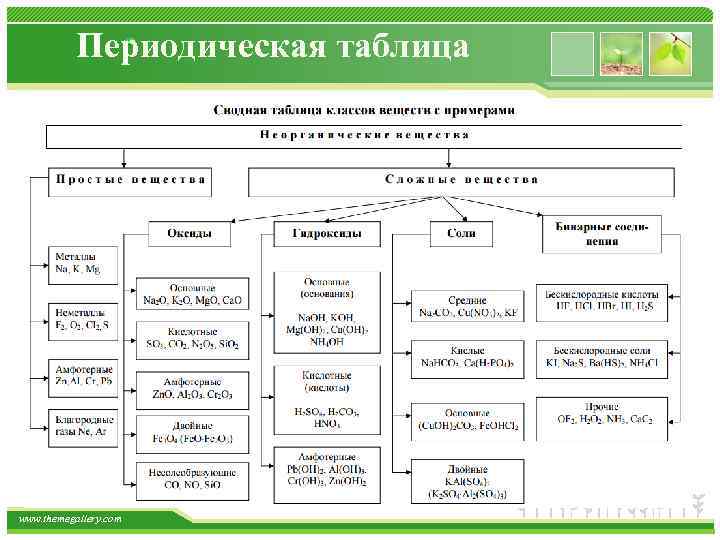 Периодическая таблица www. themegallery. com 