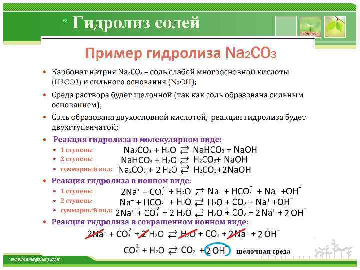 Гидролиз солей www. themegallery. com 