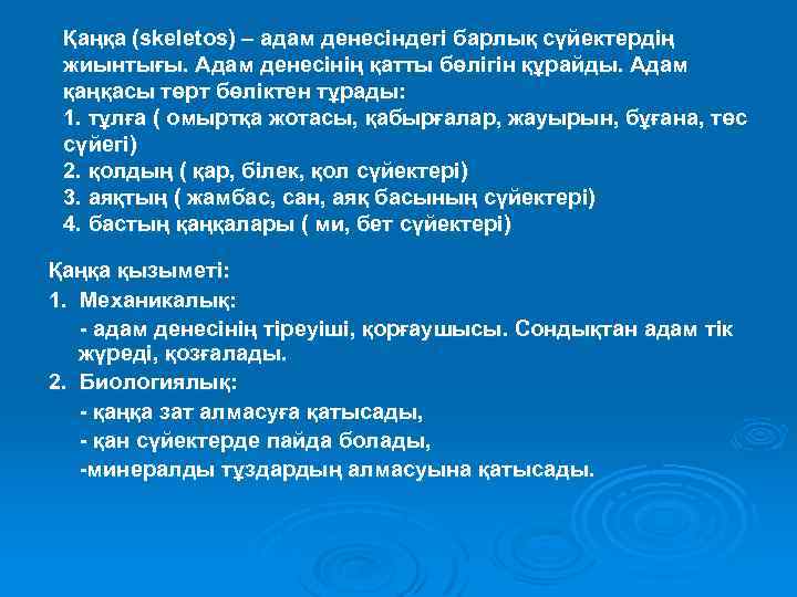 Қаңқа (skeletos) – адам денесіндегі барлық сүйектердің жиынтығы. Адам денесінің қатты бөлігін құрайды. Адам