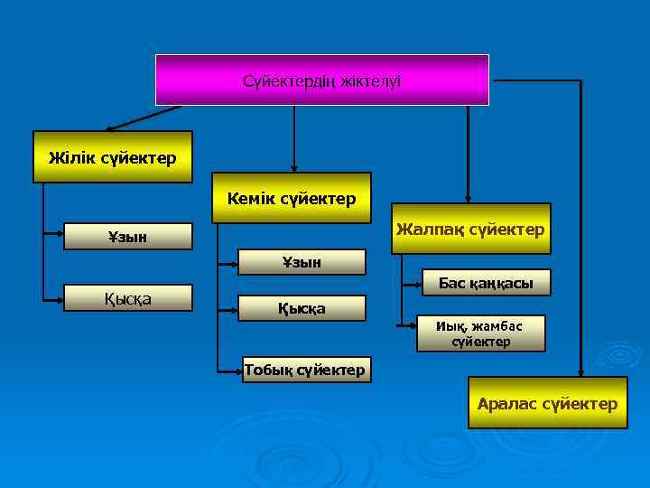 Сүйектердің жіктелуі Жілік сүйектер Кемік сүйектер Жалпақ сүйектер Ұзын Қысқа Бас қаңқасы Қысқа Иық,