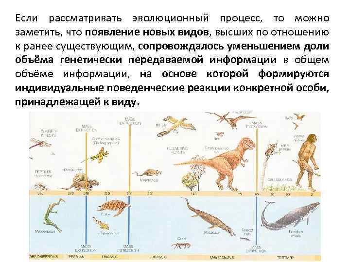 Процесс эволюции