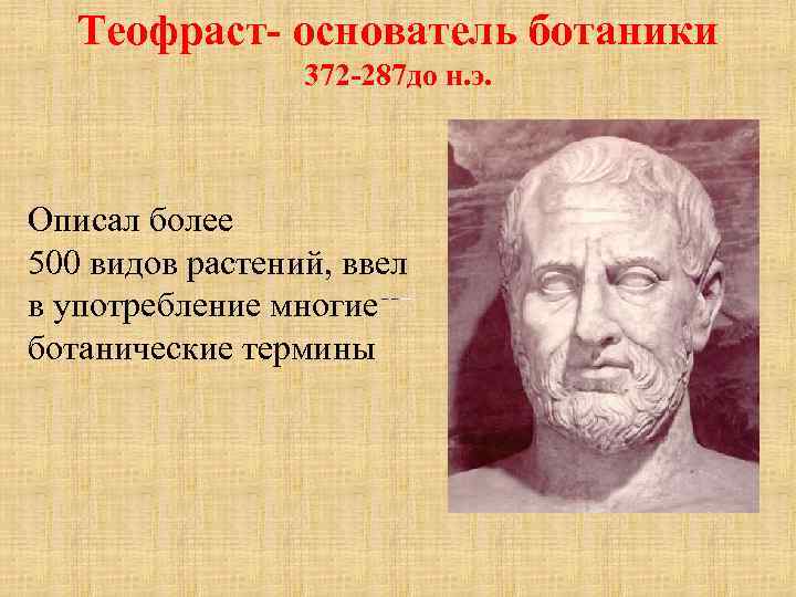 Теофраст- основатель ботаники 372 -287 до н. э. Описaл бoлee 500 видoв paстeний, ввел