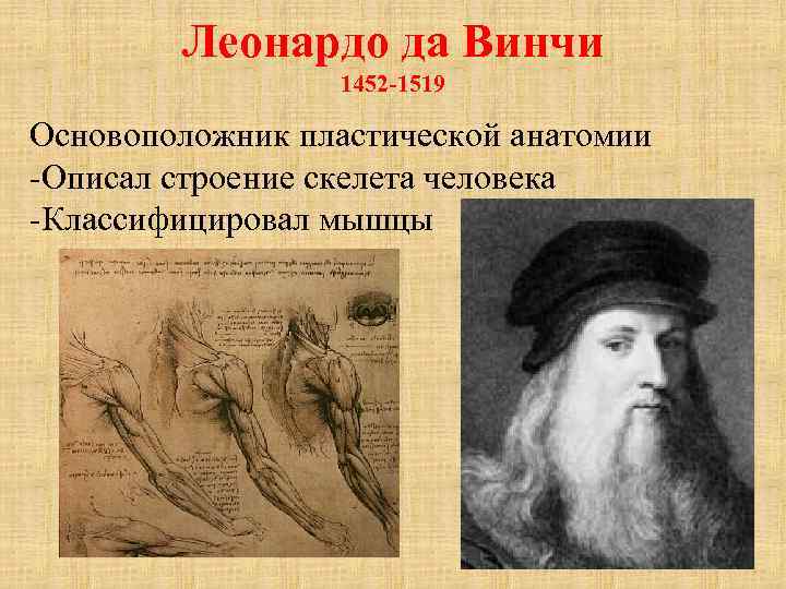 Леонардо да Винчи 1452 -1519 Основоположник пластической анатомии -Описал строение скелета человека -Классифицировал мышцы