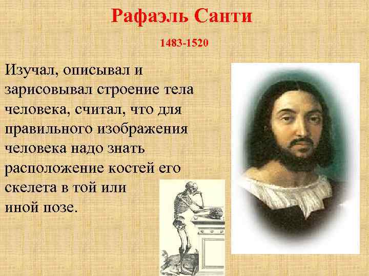 Рафаэль Санти 1483 -1520 Изучал, описывал и зарисовывал строение тела человека, считал, что для