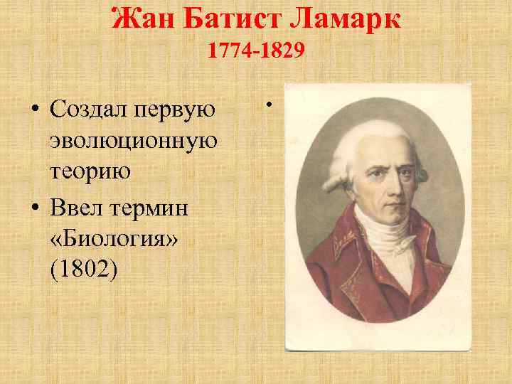 Жан Батист Ламарк 1774 -1829 • Создал первую эволюционную теорию • Ввел термин «Биология»