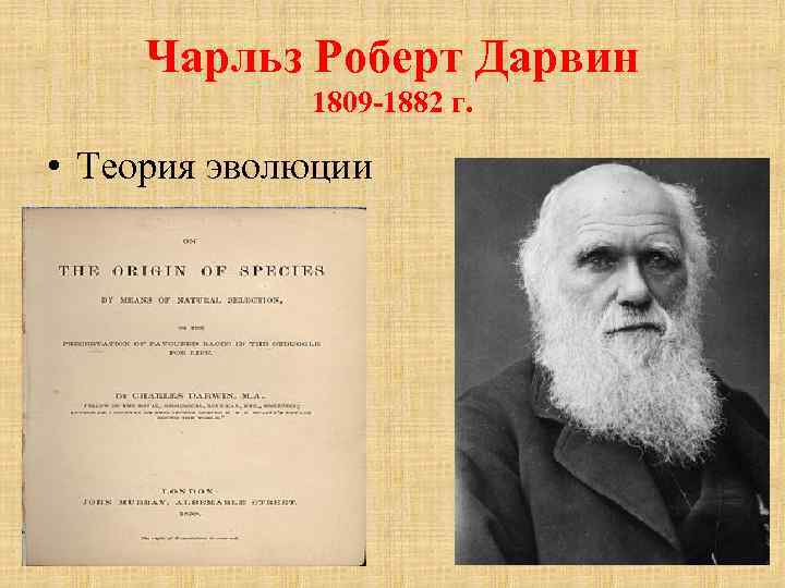 Чарльз Роберт Дарвин 1809 -1882 г. • Теория эволюции 