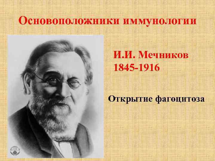 Основоположники иммунологии И. И. Мечников 1845 -1916 Открытие фагоцитоза 