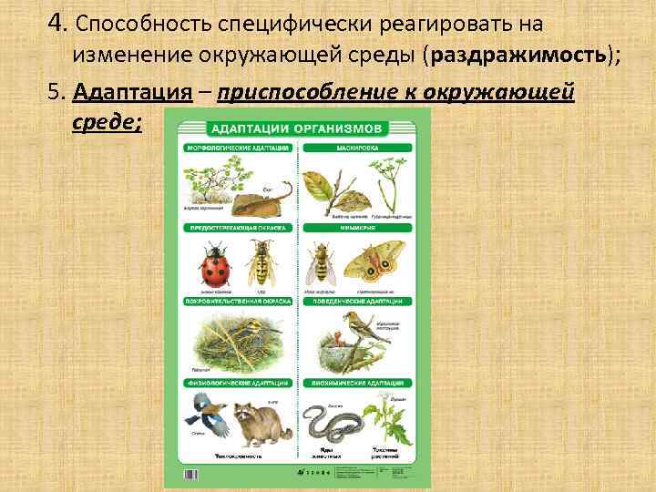 4. Способность специфически реагировать на изменение окружающей среды (раздражимость); 5. Адаптация – приспособление к