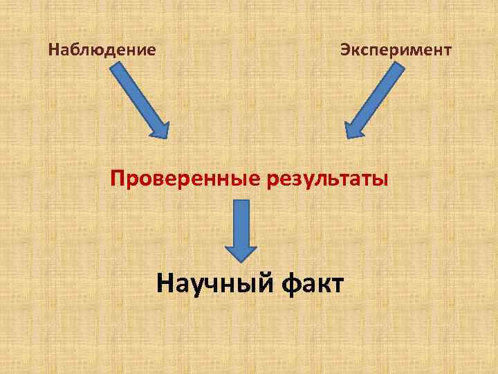 Наблюдение Эксперимент Проверенные результаты Научный факт 