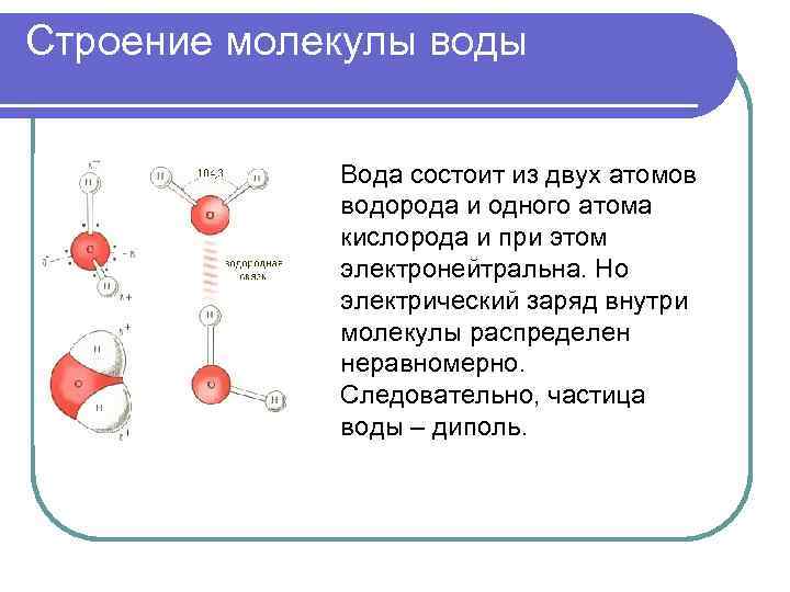 Строение молекулы воды Вода состоит из двух атомов водорода и одного атома кислорода и