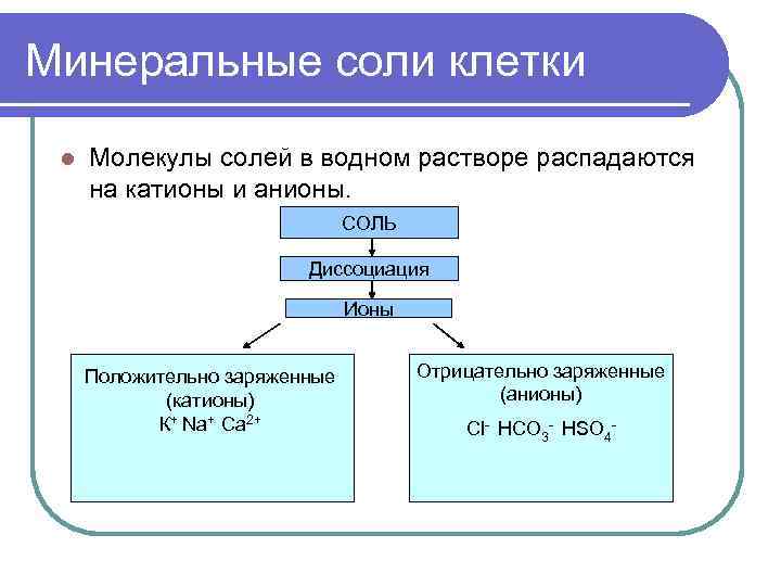 Минеральные соли клетки l Молекулы солей в водном растворе распадаются на катионы и анионы.