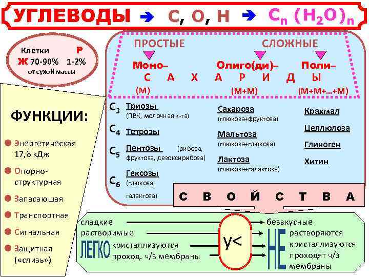 УГЛЕВОДЫ С, О, Н Сn (Н 2 О)n ПРОСТЫЕ Клетки Р Ж 70 -90%