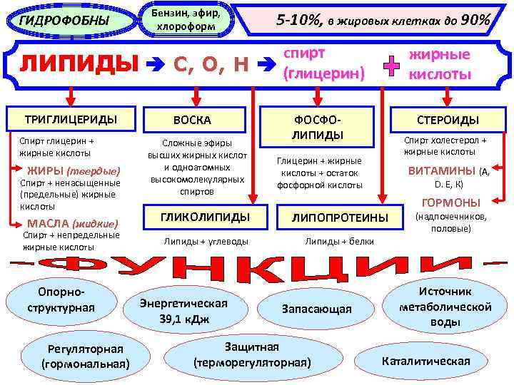 ГИДРОФОБНЫ ЛИПИДЫ ТРИГЛИЦЕРИДЫ Спирт глицерин + жирные кислоты ЖИРЫ (твердые) Спирт + ненасыщенные (предельные)
