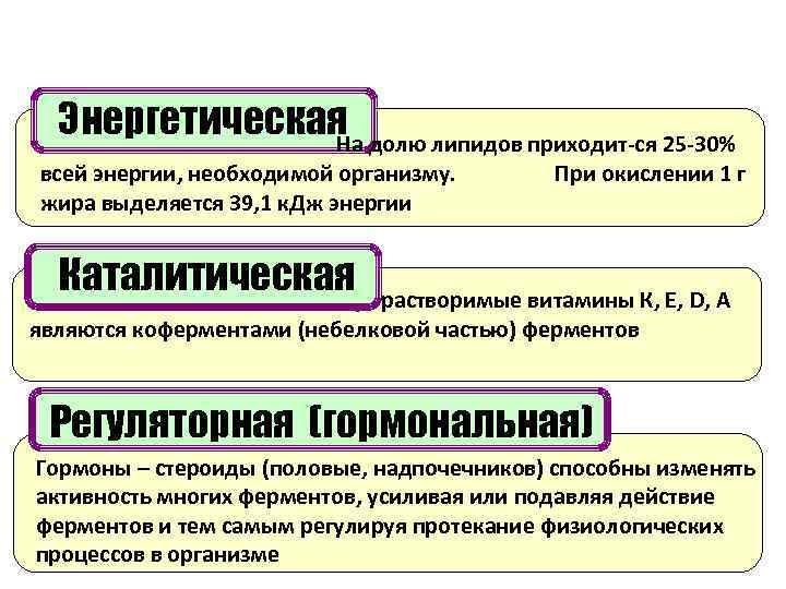Энергетическая долю липидов приходит-ся 25 -30% На всей энергии, необходимой организму. При окислении 1